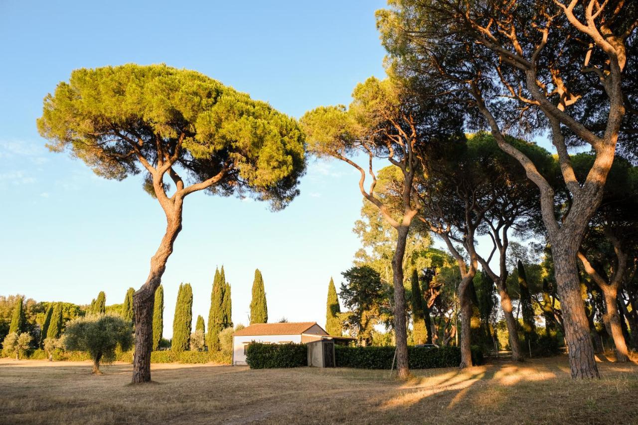 Residence La Canova II グロッセート エクステリア 写真