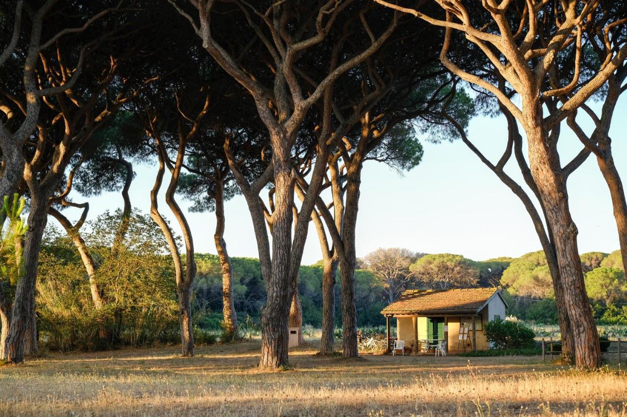Residence La Canova II グロッセート エクステリア 写真
